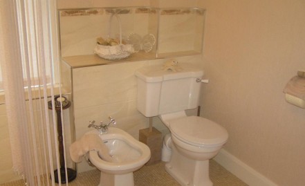 The Clifton toilet and bidet